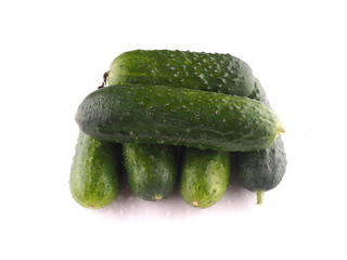 Cucumber on white background