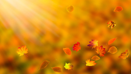 fallende blätter im herbst, herbsthintergrund