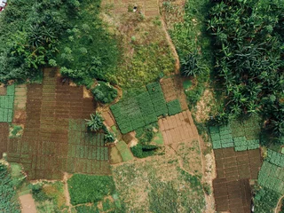 Rolgordijnen Luchtfoto van landbouw in Afrika © Jan