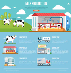Milk production infographics. Modern cow farm, transportation and processing on milk factory, fresh and healthy dairy products distribution in market. Eco milk manufacturing vector illustration.