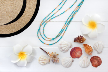 貝殻とプルメリアの夏のイメージ