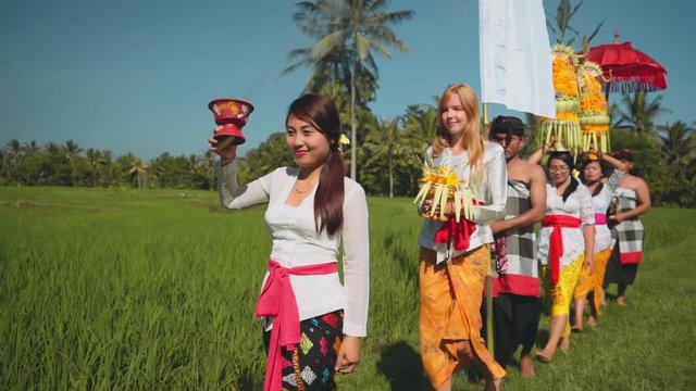 Balinese procession going through rice fields with offerings, umbrella and white flag
