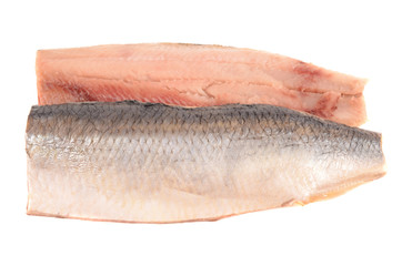 Herring on a white background