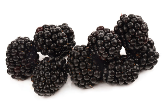 blackberries on a white background