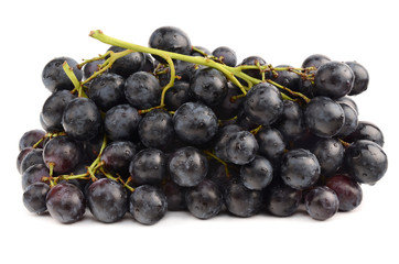 Juicy Grapes on white background