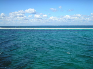 Obraz premium OLYMPUS DIGITAL CAMERA