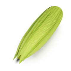 Corn isolated on a white. 3D illustration