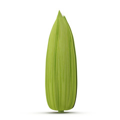raw corn on a white background, isolated on a white. 3D illustration
