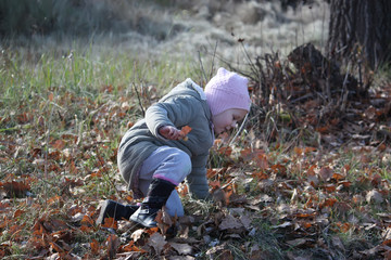 Adorable little girl playing in the autumn park.