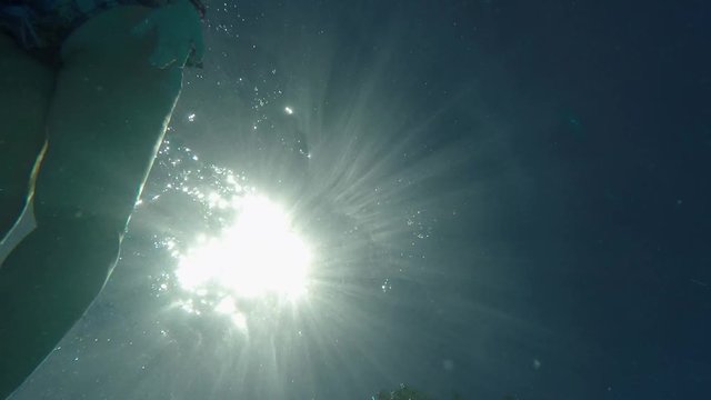swimming on the back, backstroke above camera, from below