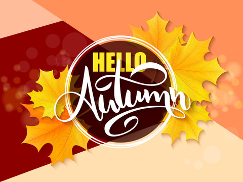 Vector banner with hand lettering label - hello autumn - yellow autumn maple leaves and flares