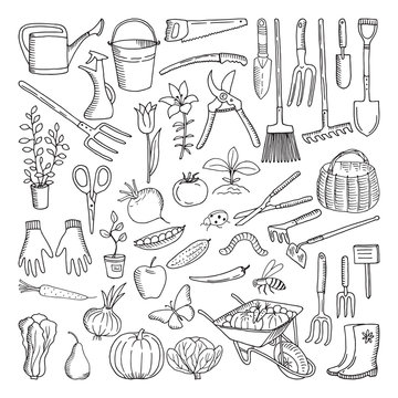 Hand drawn tools for farming and gardening. Doodle of nature environment