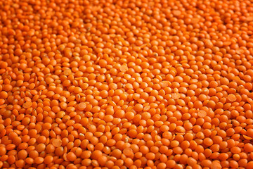 Red lentils background
