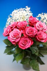 薔薇の花