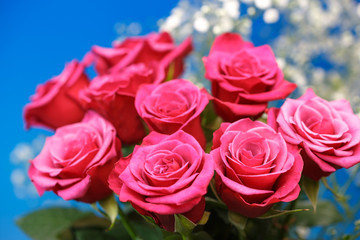 薔薇の花