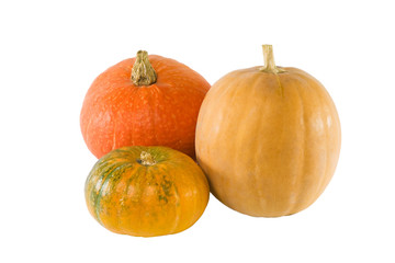 three pumpkins on white background isolated