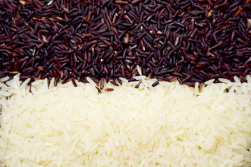 Rice for background