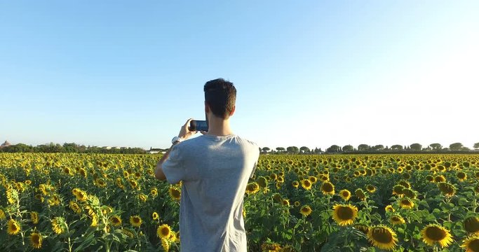 Ragazzo sta facendo delle foto con lo smartphone a un campo di girasoli.