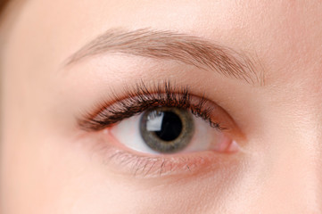 Closeup shot of female eye with day makeup