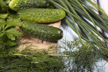 Cucumber, fennel and  parsley