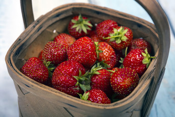 Garden Strawberries in wooden basket