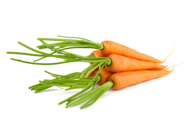 Fresh carrot  on white background
