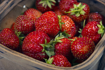 Garden Strawberries in wooden basket
