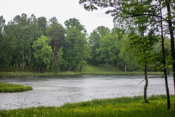 Летний парк
