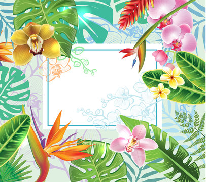 Banner from tropical plants