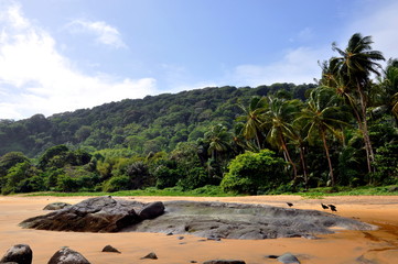 Fototapete bei efototapeten.de bestellen   