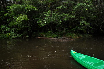 Fleuve d’Amazonie