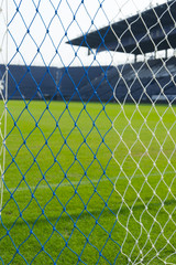 green grass  in the stadium