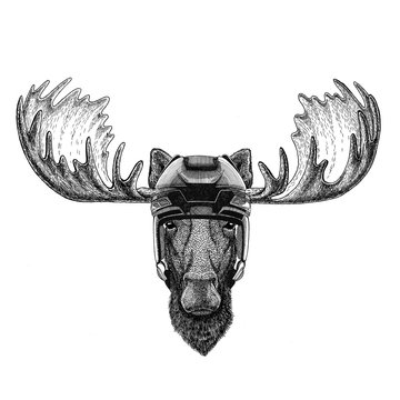 Moose, elk Hockey image Wild animal wearing hockey helmet Sport animal Winter sport Hockey sport