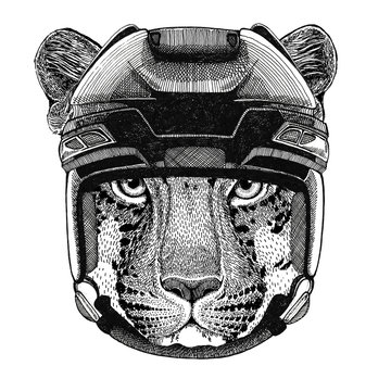 Wild cat Leopard Cat-o'-mountain Panther Hockey image Wild animal wearing hockey helmet Sport animal Winter sport Hockey sport