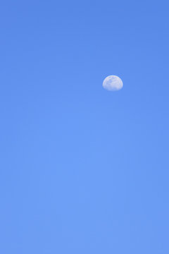 Clear blue sky which has half moon in daytime (can used as background)
