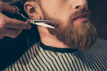 Beard styling and cut. Close up cropped photo of a styling of a red beard. So trendy and stylish! Advertising and barber shop concept