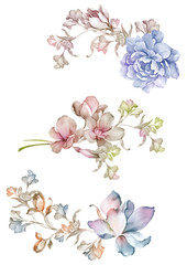 watercolor illustration flowers in simple background - 164164480