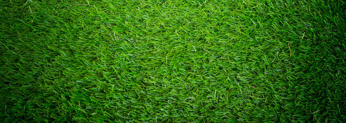 grass field background