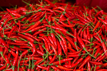 Fototapeta premium Pile of fresh red chilli peppers