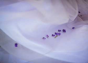 Obraz na płótnie Canvas Little violet petals lie on white cloth