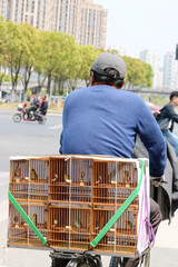 Chinese Man selling birds