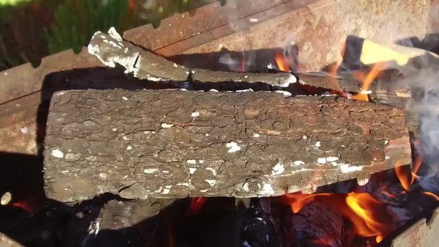 firewood burning in brazier outdoors