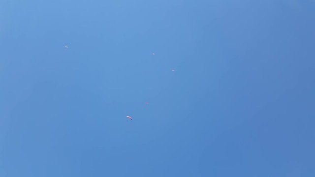 a lot of paragliders fly high in the sky