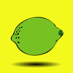 Vector illustration of a lime.