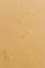 Fototapeta na wymiar Footprints in sand at beach