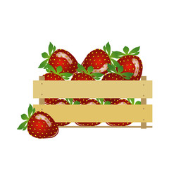 Strawberries. Fruit basket. Red berry vector illustration. Spring and summer food.