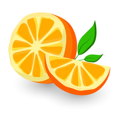 orange vector icon cartoon style isolated on white background.