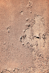 Great for textures and backgrounds. perfect background with space for your projects text or image