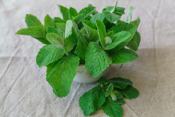Sprigs of fresh mint, prepared for tea.