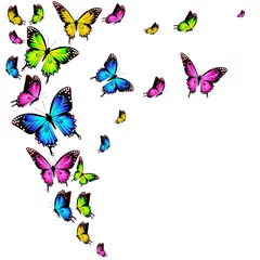 Deurstickers Vlinders mooie kleur vlinders, set, geïsoleerd op een witte